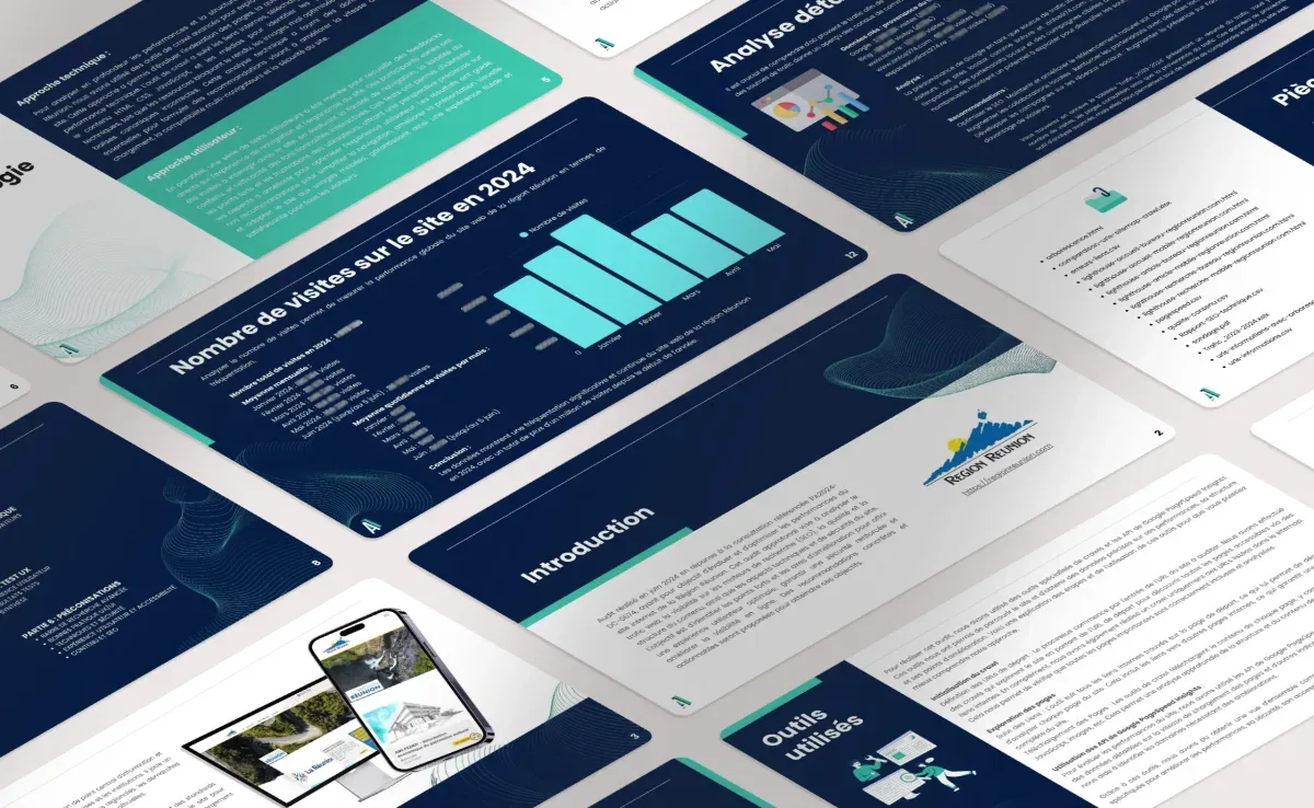 Pages du rapport d’audit du site de la Région Réunion